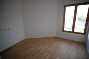 Estrella_P4-133_DSCF5912